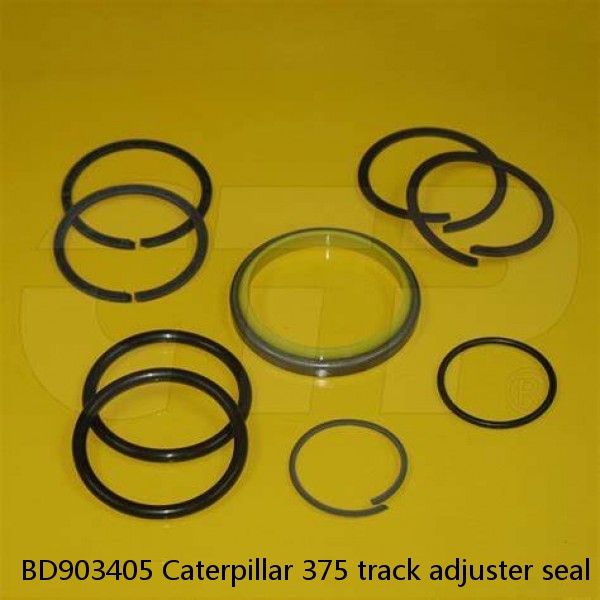 BD903405 Caterpillar 375 track adjuster seal kits #1 small image