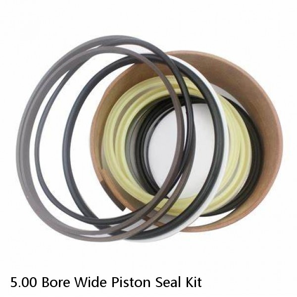 5.00 Bore Wide Piston Seal Kit #1 image