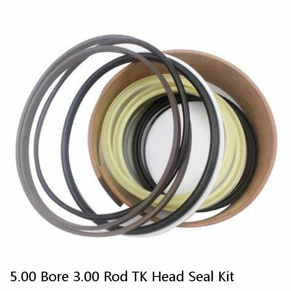 5.00 Bore 3.00 Rod TK Head Seal Kit #1 image