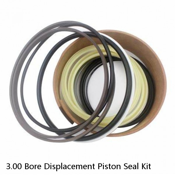 3.00 Bore Displacement Piston Seal Kit #1 image